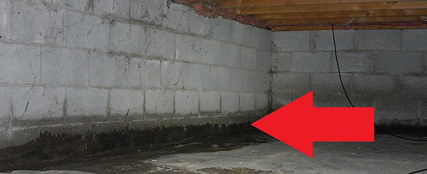 Home basement inspection